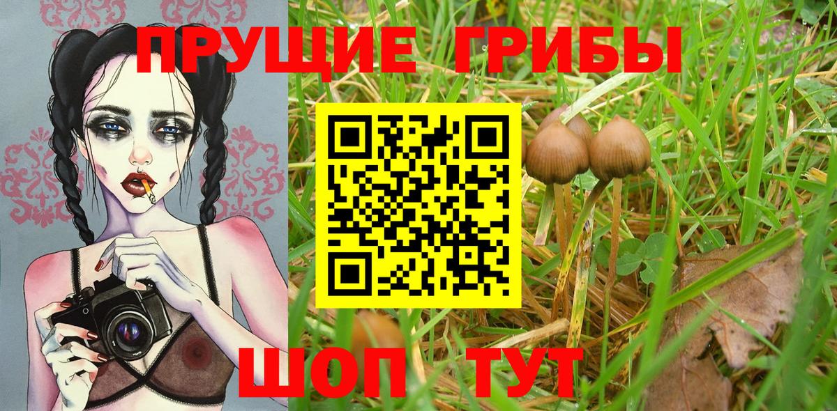 Псилоцибиновые грибы Magic Shrooms  Галлюциногенные грибы MAGIC MUSHROOMS  как найти закладки  Вход с VPN  Ейск 