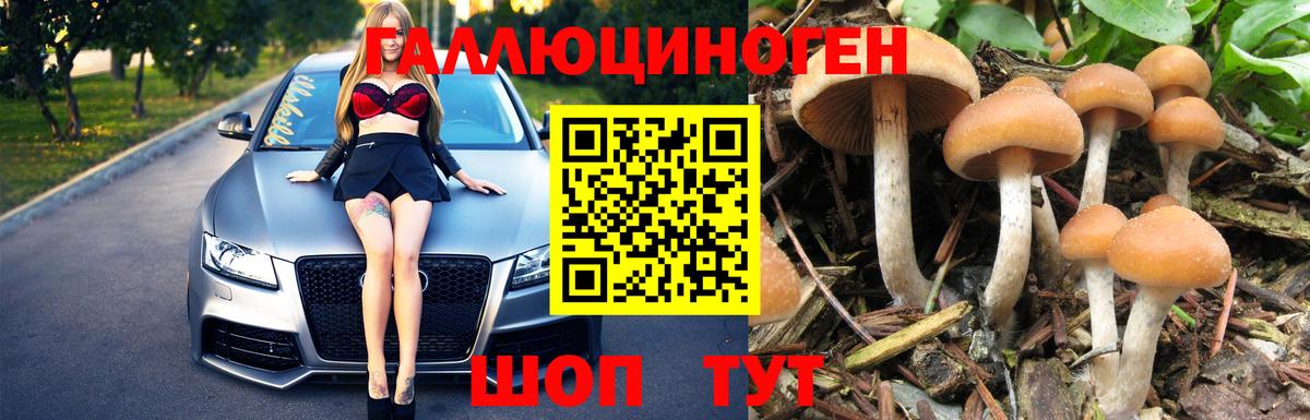 Псилоцибиновые грибы прущие грибы Ейск